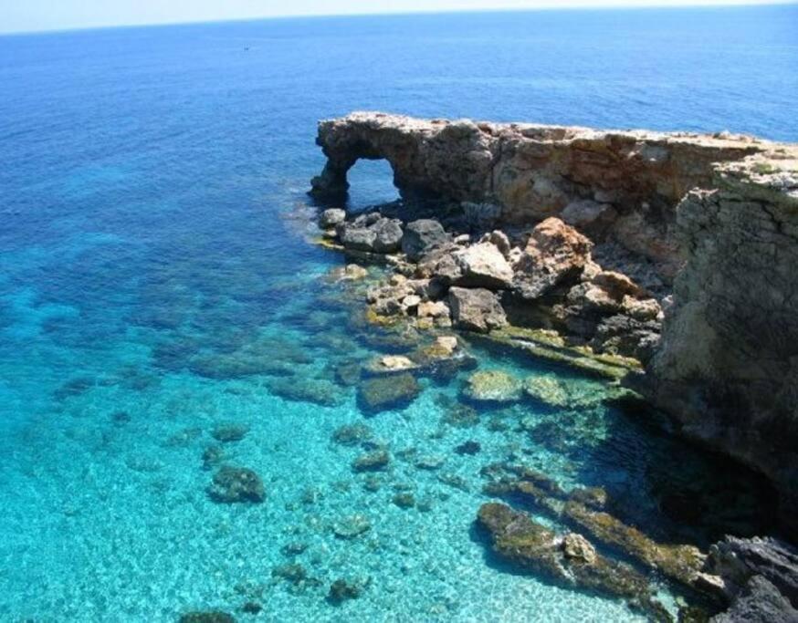 Margerita *